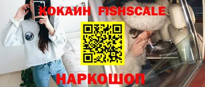 прущие грибы Брянск
