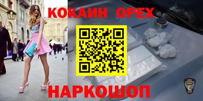 прущие грибы Брянск