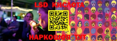 прущие грибы Брянск