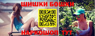 прущие грибы Брянск